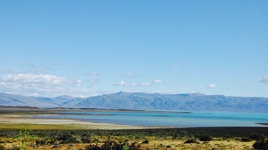 El Calafate 1