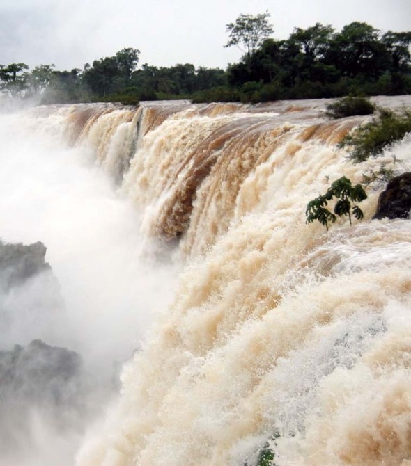 Iguazu Une