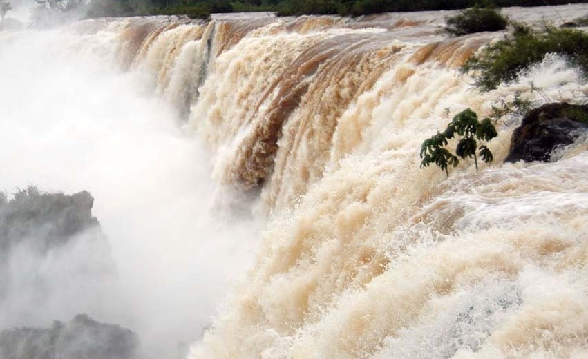 Iguazu Une